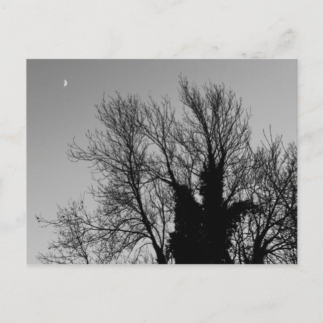 Mediaeval Winter Afternoon Postcard (Front)