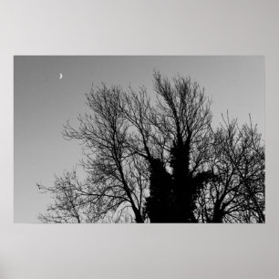 Mediaeval Winter Afternoon Poster