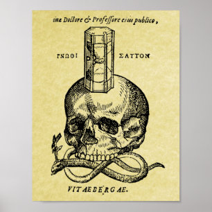 Mediaeval woodcut skull poster print