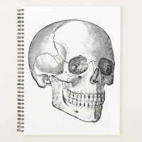 Medical anatomy vintage skull drawing monochrome