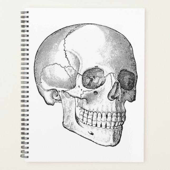 Medical anatomy vintage skull drawing monochrome planner (Front)