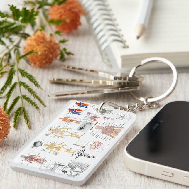 Medical Charts Human Anatomy Diagrams  Key Ring (Front Right)