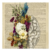 medical floral brain anatomy poster