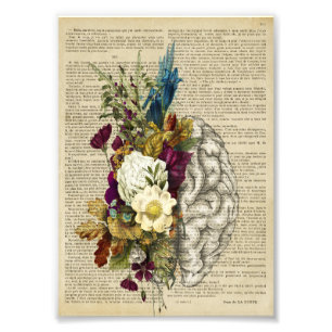 medical floral brain anatomy poster