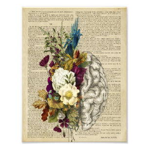 medical floral brain anatomy poster