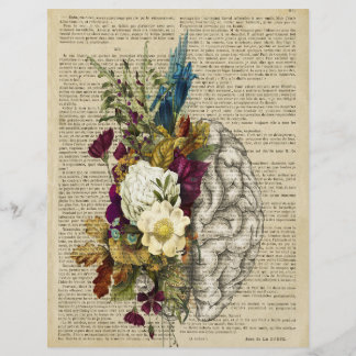 medical floral brain anatomy poster flyer