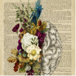medical floral brain anatomy poster standing photo sculpture<br><div class="desc">flowers,  flower,  roses,  rose,  page,  book,  dictionary,  directory,  brain,  white,  human,  vintage,  anatomy,  health,  medical,  science,  biology,  engraving,  black,  old,  graphic,  etching,  antique,  line,  body,  engraved,  head,  education,  mind,  side,  intelligence,  nervous,  monochrome,  person,  symbol,  3d,  style,  light,  brown,  retro,  sketch,  colour,  doctor,  nurse,  clinic</div>