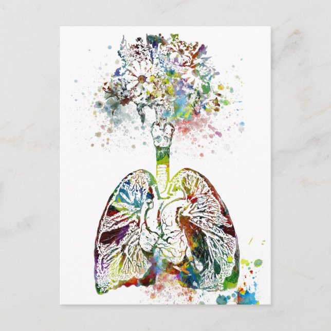 Medical Gifts Heart and Lungs Motif Postcard (Front)