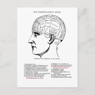 Medical Humanities Phrenology Postcard