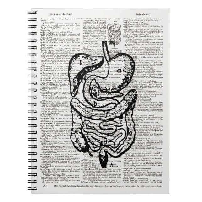 Medical Illustration Dictionary Art Notebook (Front)