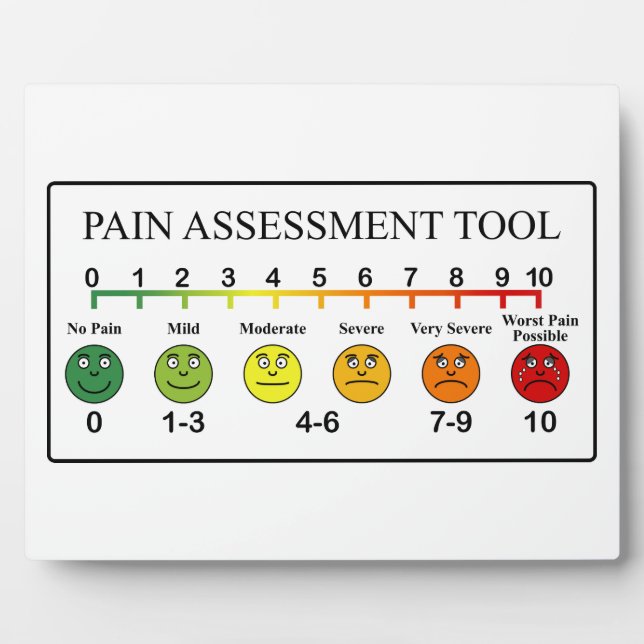 Medical Pain Assessment Tool Chart Plaque (Front)