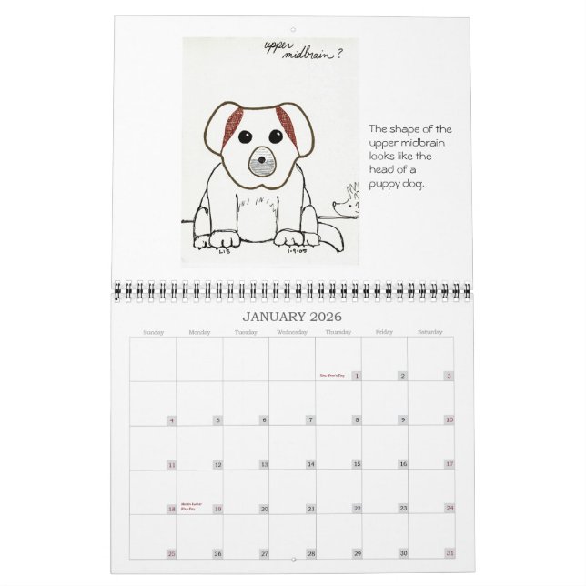 Medical School Sketches 2007 calendar (Jan 2026)