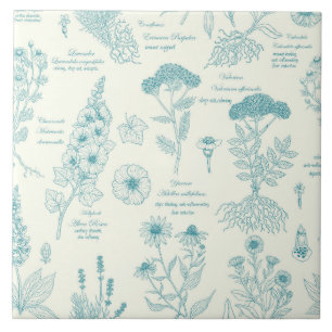 Medicinal Garden Herbarium in blue and off white Ceramic Tile