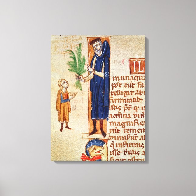 Medicinal Plants Canvas Print (Front)