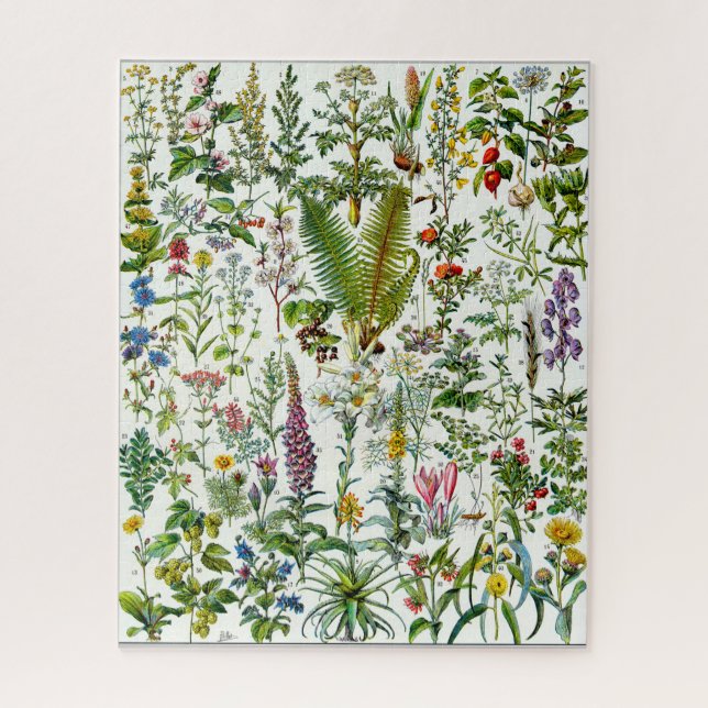 Medicinal Plants Jigsaw Puzzle (Vertical)