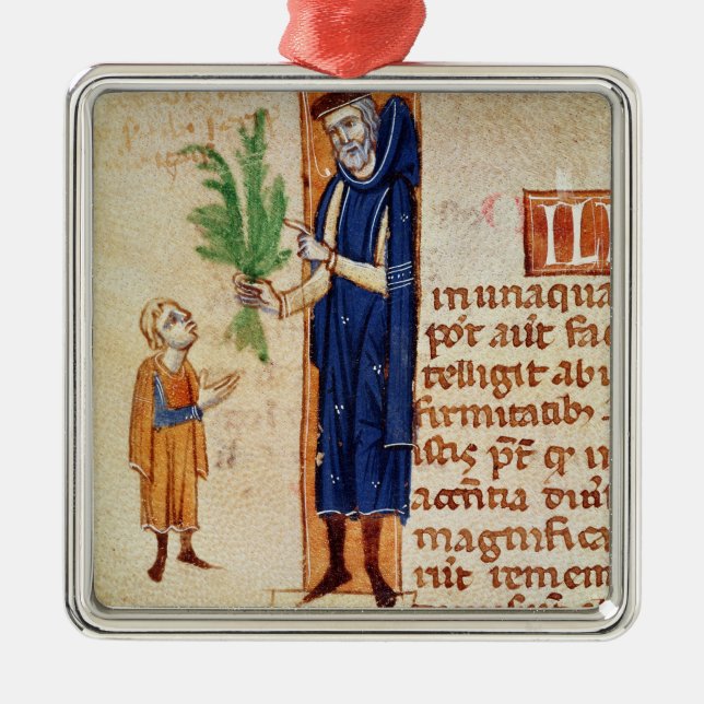 Medicinal Plants Metal Tree Decoration (Front)