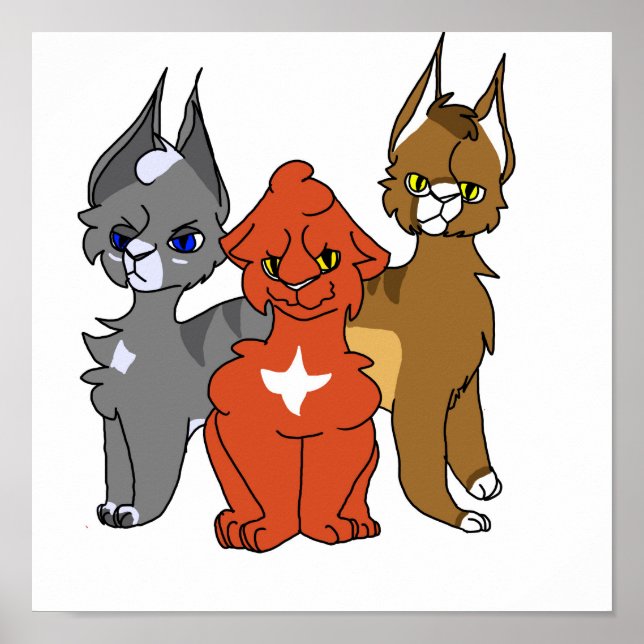 Medicine cats poster (Front)