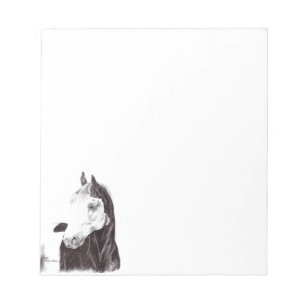 Medicine Hat Paint Horse Note Pad
