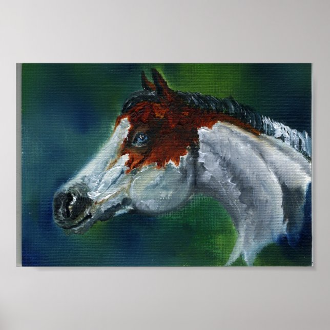 Medicine Hat Pinto Horse Poster (Front)