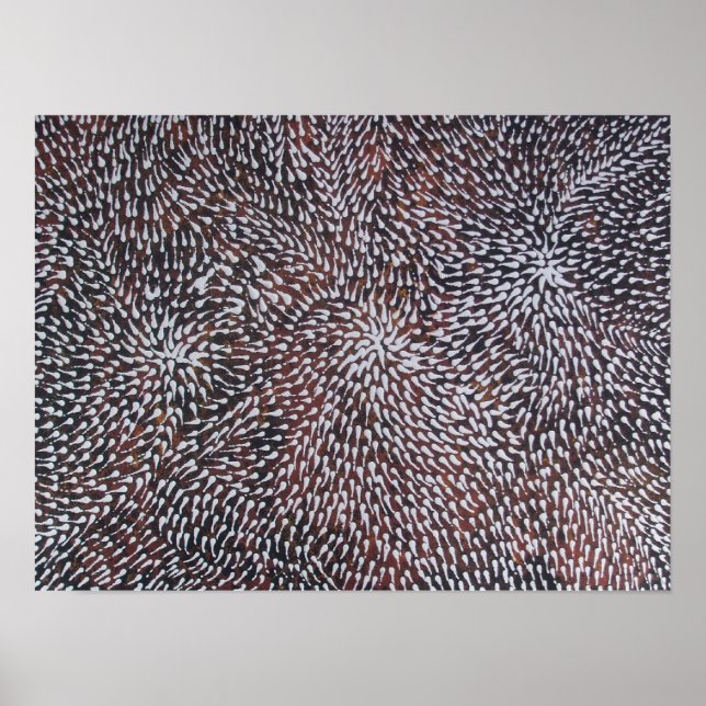 MEDICINE OF THE CORAL REEF POSTER (Front)