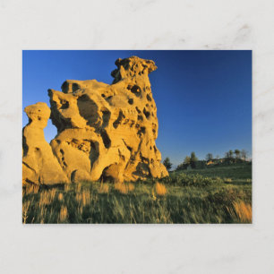 Medicine Rocks State Park near Ekalaka Montana Postcard