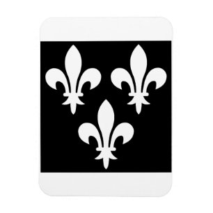 Medieval Banner of France Magnet