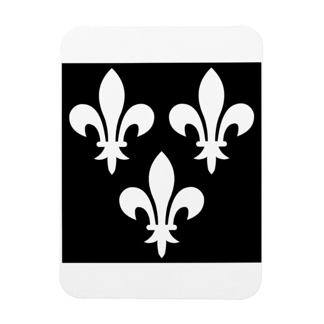 Medieval Banner of France Magnet (Vertical)