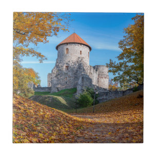 Medieval castle surrounded by forest ceramic tile