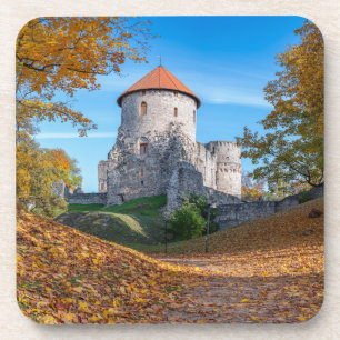 Medieval castle surrounded by forest coaster