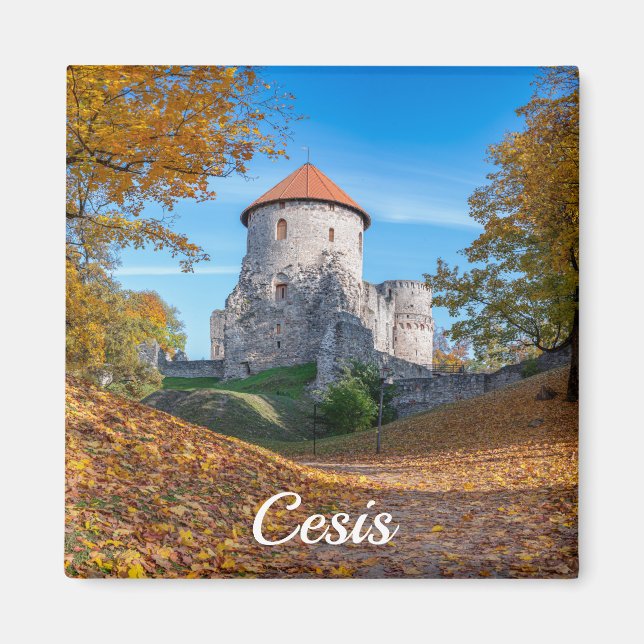 Medieval castle surrounded by forest magnet (Front)