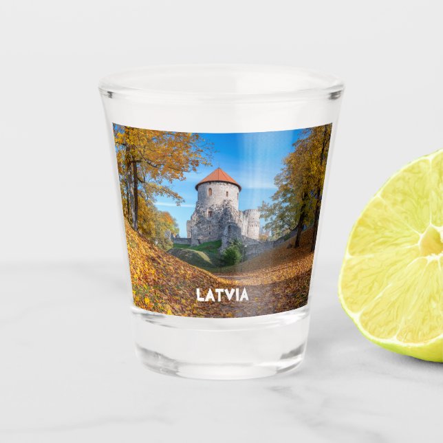Medieval castle surrounded by forest shot glass (Front)