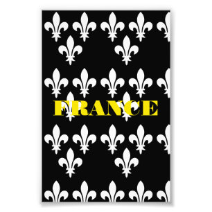 Medieval France Heraldic Print Monochromatic Art