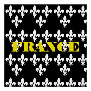 Medieval France Heraldic Print Monochromatic Art