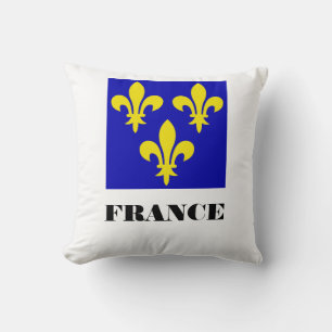 Medieval French Royal Standard Fidelity Heraldic Cushion