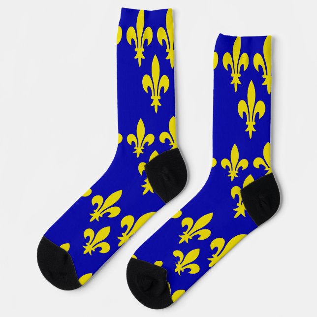 Medieval French Royal Standard Fidelity Heraldic Socks (Left)