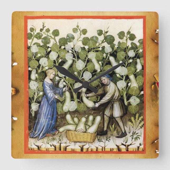MEDIEVAL SQUASH  HARVEST PARCHMENT Squashes Square Wall Clock (Front)