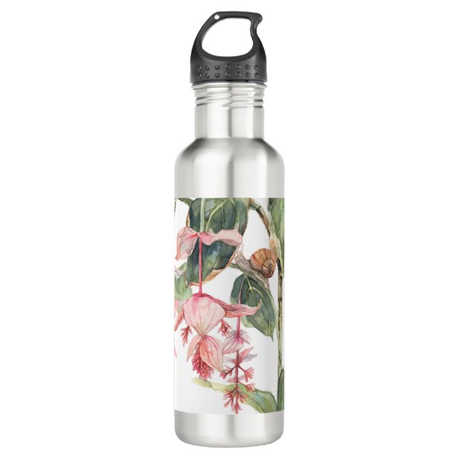 Medinilla Botanical Art Illustration  710 Ml Water Bottle (Front)