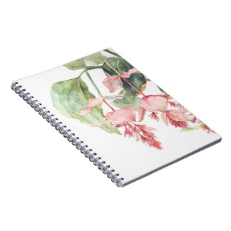 Medinilla Watercolor Illustration Notebook