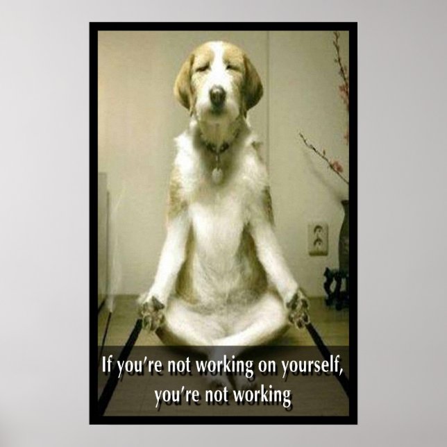Meditating Dog Poster (Front)