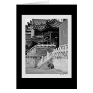Meditating Monk Card
