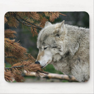 Meditating wolf mouse pad