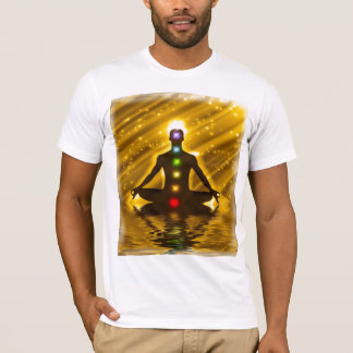 Meditation and disclosure of charkas T-Shirt