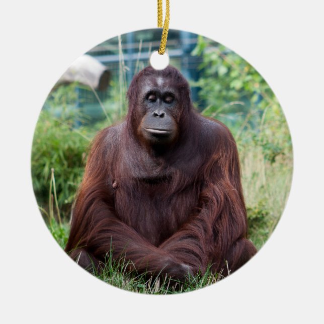 Meditation Ceramic Tree Decoration (Front)