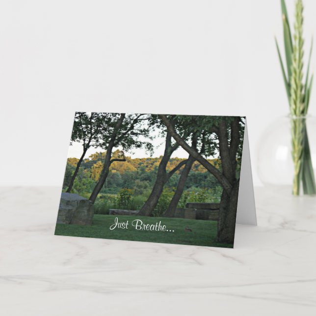 Meditation in the Meadow Card (Front)