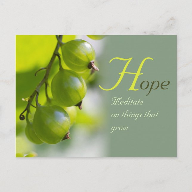 Meditation on things that grow CC0330 Postcard (Front)