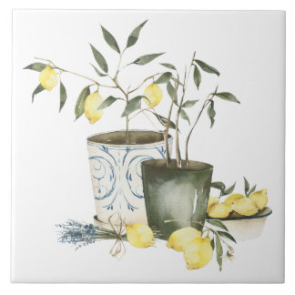 Mediterranean Citrus Italian Farmhouse Ceramic Tile
