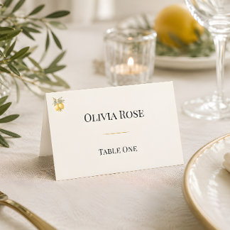 Mediterranean Italian Coastal Luxury Folded Place Card