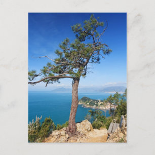 Mediterranean landscape - Sestri Levante Postcard