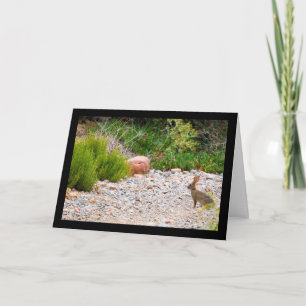 Mediterranean Mornings Card
