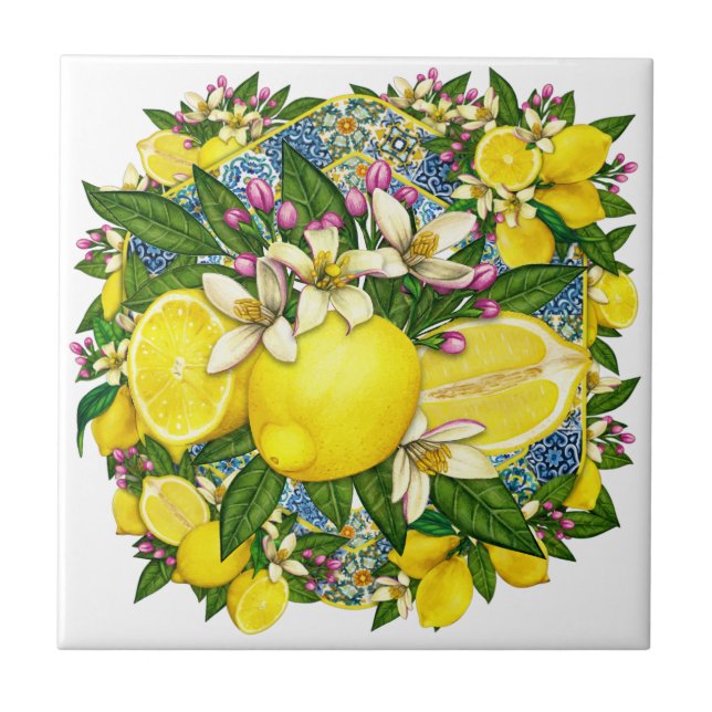 Mediterranean Pattern Color 6 Ceramic Tile (Front)